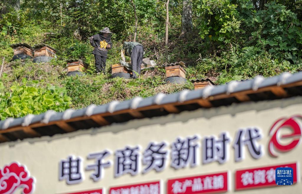 永利贵宾厅连接